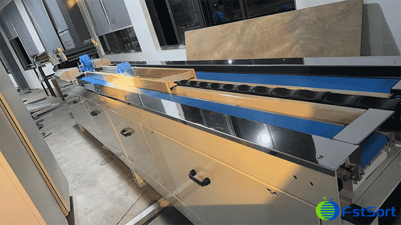 images/1770711672100tomato weitght sorting.png